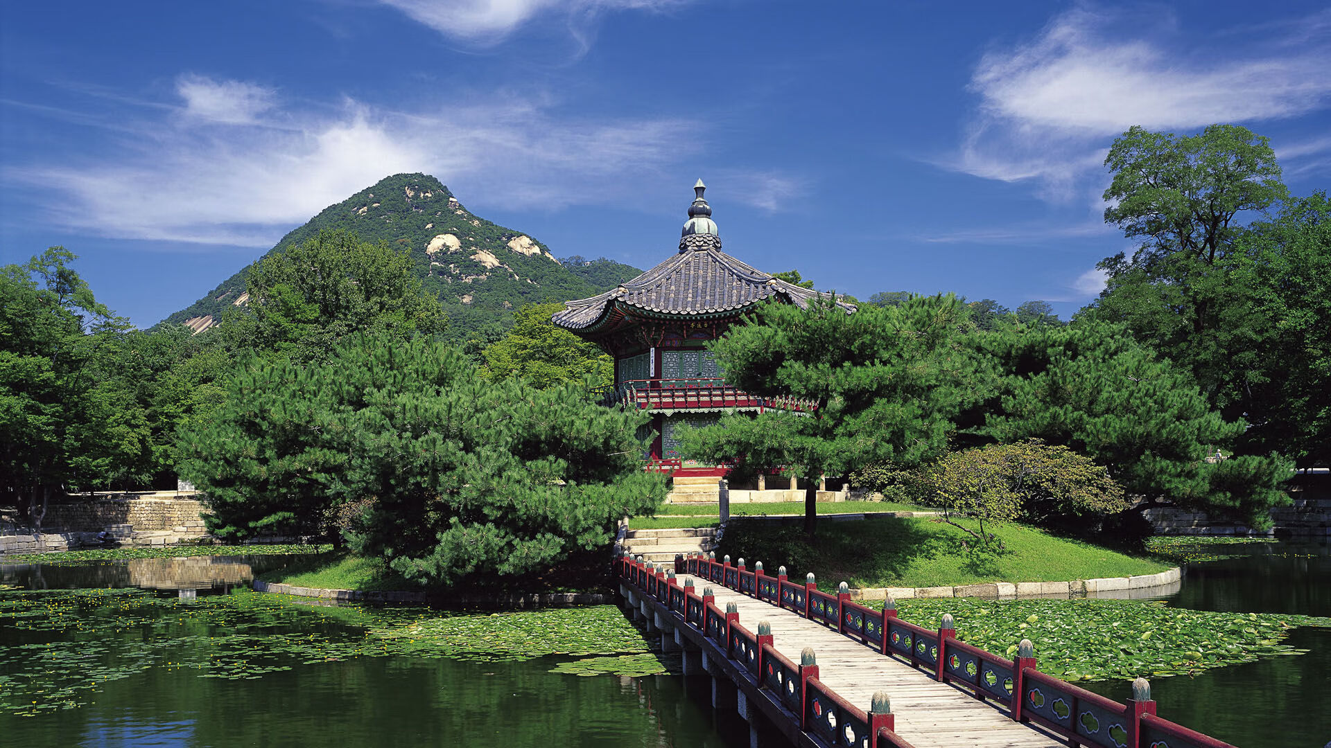 世界举重康复师资认证第三期招生简章发布,世界举重青年锦标赛